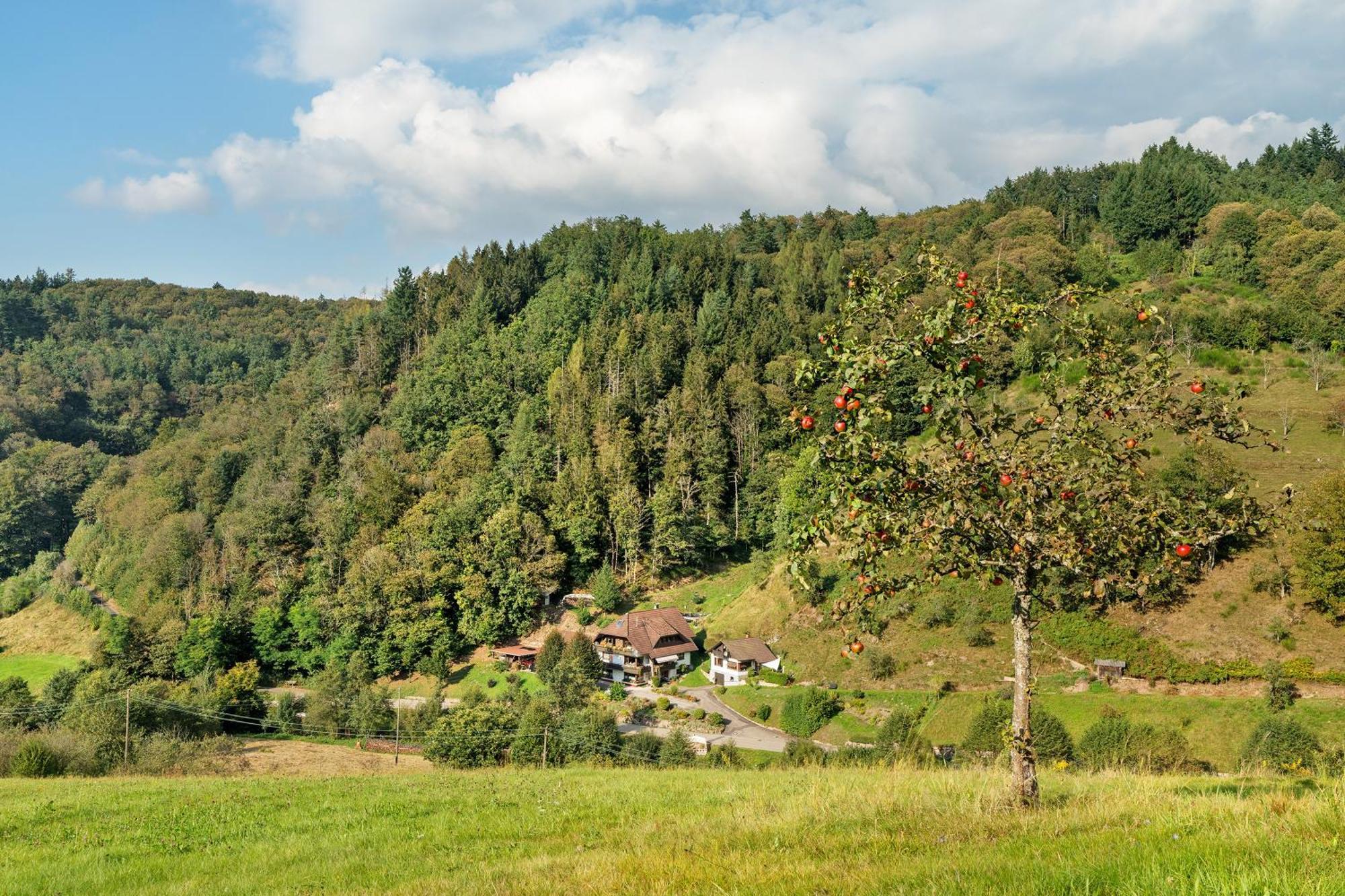 Haus Schindler Διαμέρισμα Ottenhofen im Schwarzwald Εξωτερικό φωτογραφία